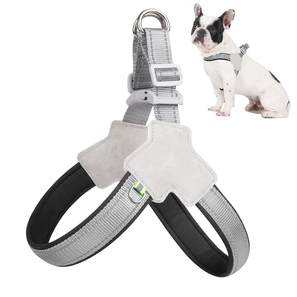 Upgrade Your Pet's Wardrobe with this Stylish, Comfortable, and Durable Pet Collar and Leash Set designed for Outdoor Activities