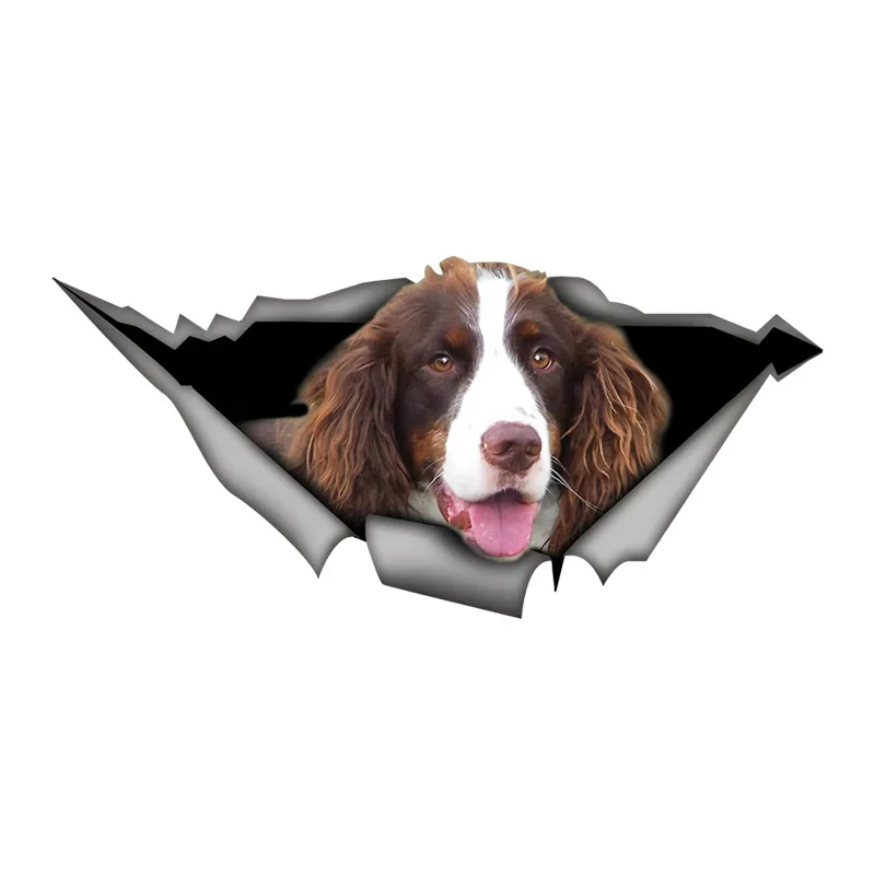 

DK396# Spaniel 3D Vinyl Car Sticker, Fun Insurance Bumper Sticker for Cars, Trucks, Motorcycles, Walls, Windows, PVC Material