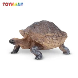 Toymany Simulation Galapagos Tortoise Reptile Animal Model Toy Mini Figures Dolls Action Figurines Toys Children Gift