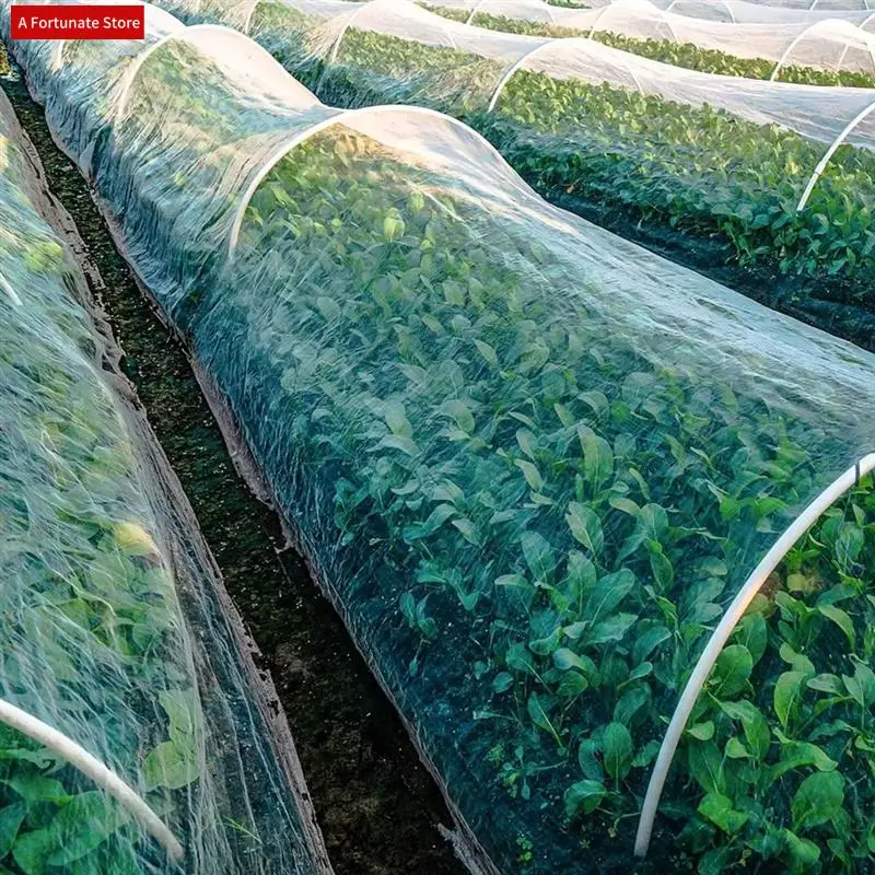 Plant Insect Network 60 Mesh Protective Covering Film For Fruits And Vegetables Flower Greenhouse Insect Bird Net Parts-A78G