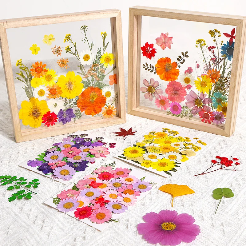 

Сушеные цветы: натуральные прессованные растения для форм из эпоксидной смолы, изготовления подставок, декора, домашних аксессуаров и поделок своими руками