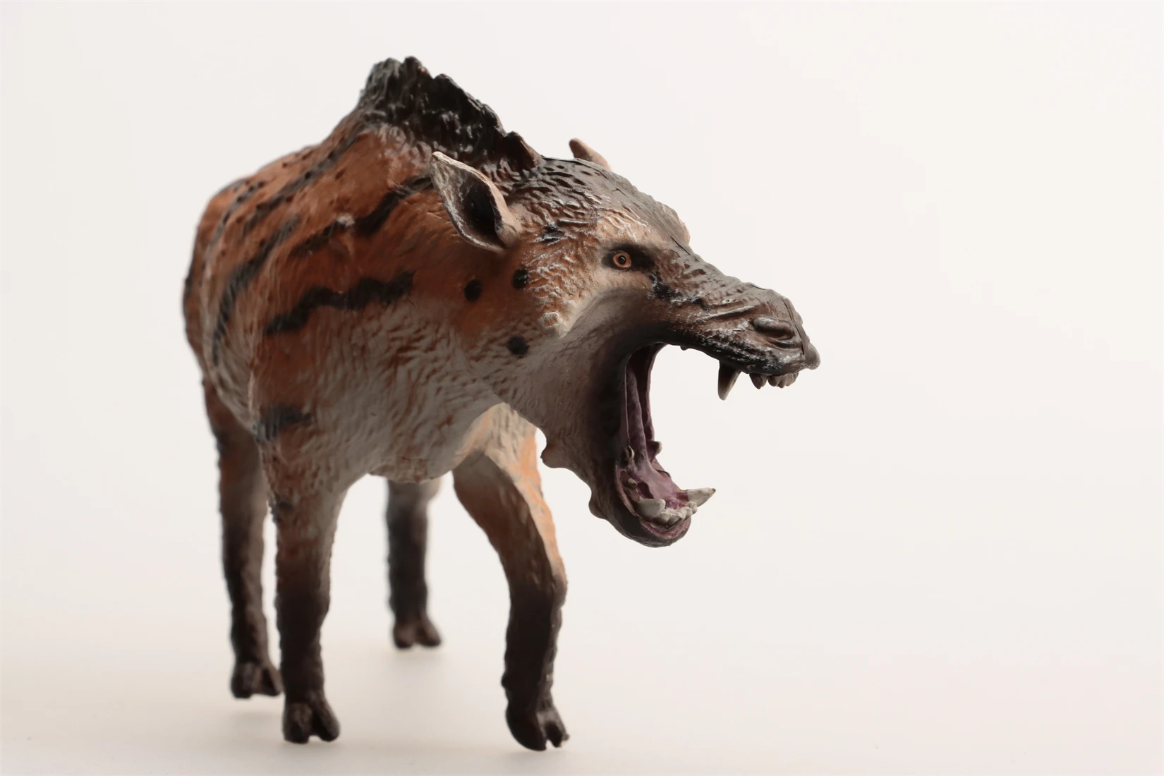 Estudio de historia de la tierra, modelo Daeodon, figura de Animal prehistórico, colección Entelodontidae, decoración de escena, juguete de regalo de cumpleaños