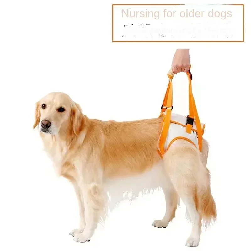 Wheelchair cart disabled hind leg bracket pet stroller light to take the elderly dog out