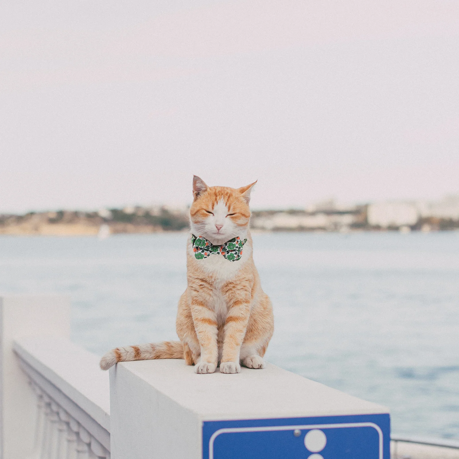 

Bowknot Cat Collar Green Adjustable For Kitten Cats Pet Neck Decor Party Wedding Photo Prop Pet Collar Accessory