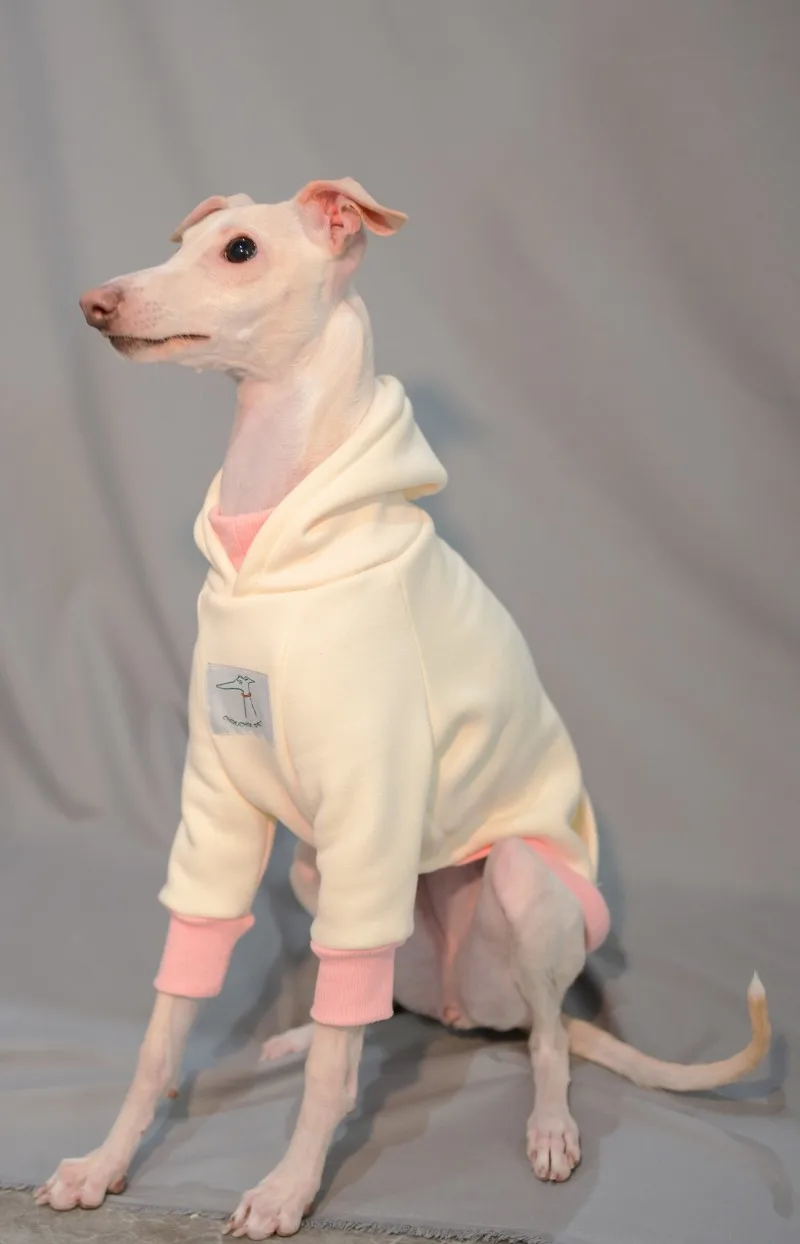 Włoska bluza Greyhound z kapturem biała kolorowa pluszowe ubrania do psa Whippet Bichon Bellington bezwłosy pies