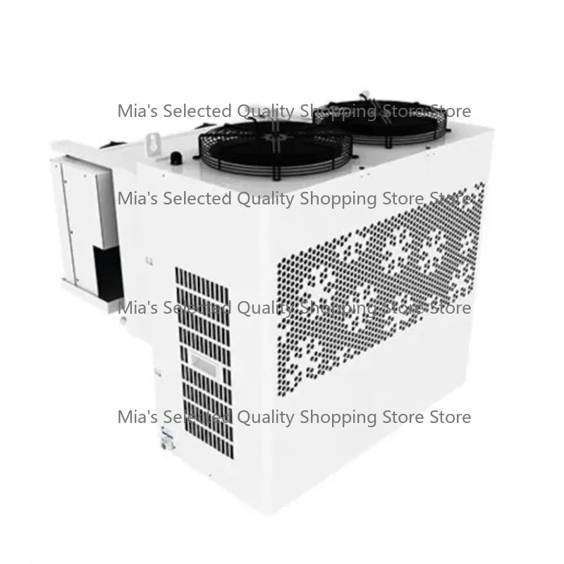 Side-Mounted Installation Monoblock Freezer Condensing Unit for Cold Room