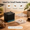 Insect Breeding Box with Ventilated Drawer