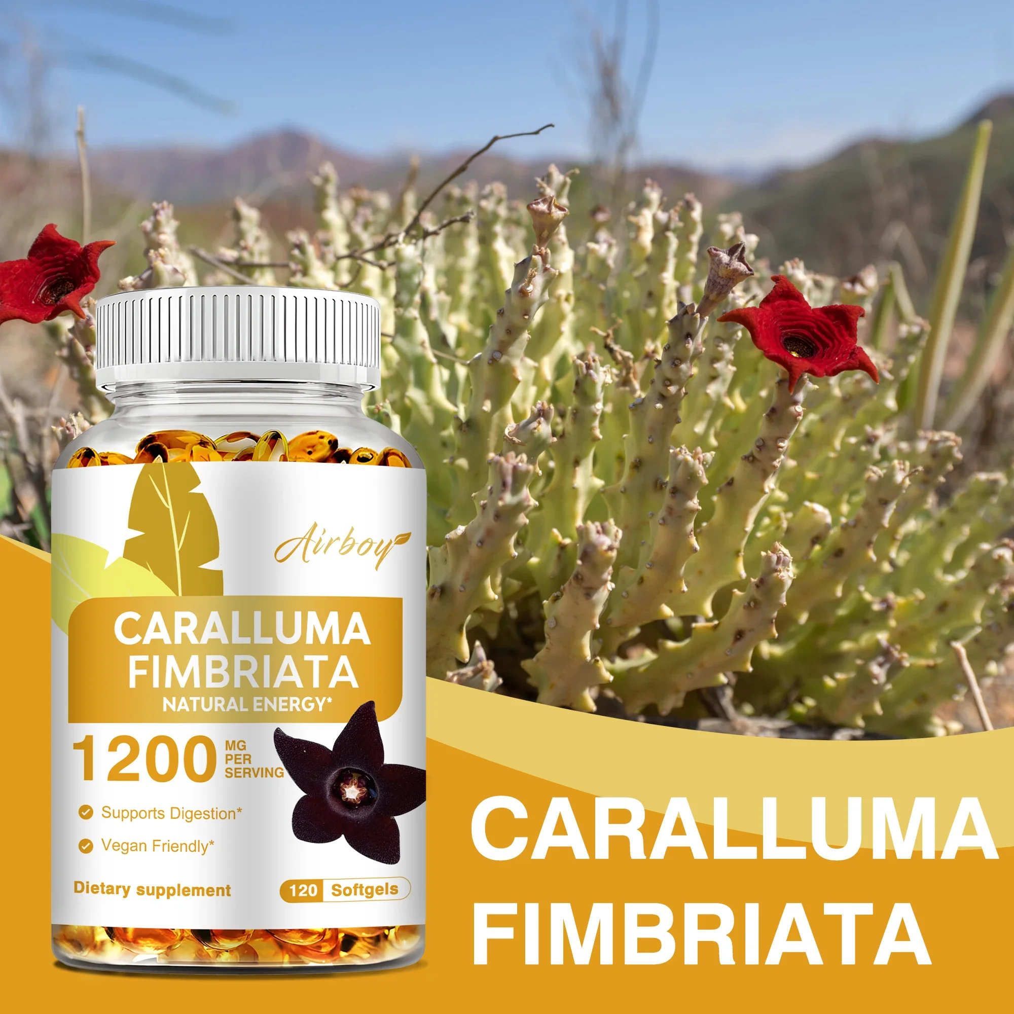 

Caralluma Fimbriata - Weight Management, Natural Endurance Supplement, Boost Energy Levels and Metabolism