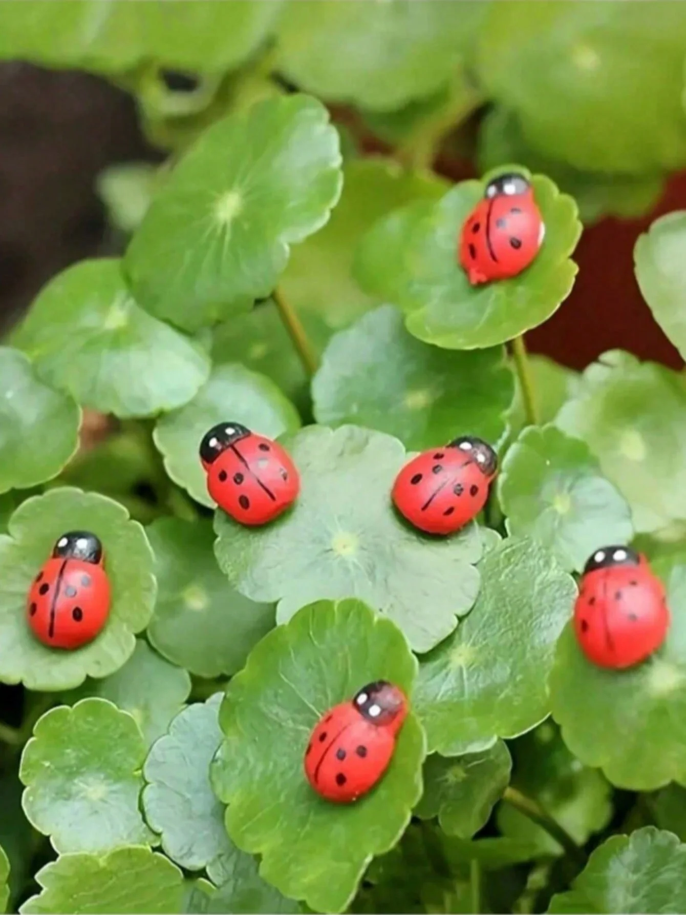 100/20PCS Pieces of Resin Ladybug Figurines, Garden and Courtyard Micro Landscape Succulent Pot Decoration Handicrafts
