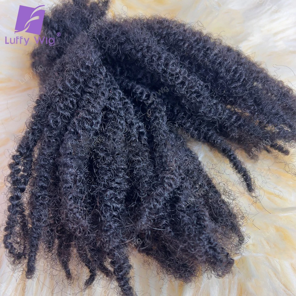 Afro Kinky Curly Locks Hair Extensions Burmese Remy Human Braiding Hair Bulk For Twist Braids Double Drawn Box Crochet No Weft