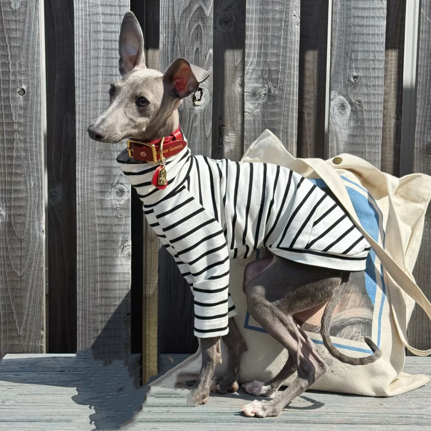 White Striped Cotton T-shirt for Bedlington Spring Dog Clothes Long Sleeves High-neck Undershirt Loungewear for Little Greyhound