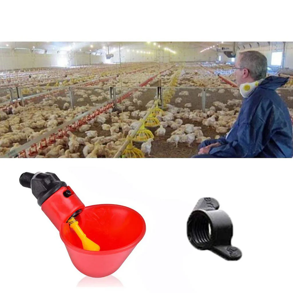 Chicken DrinkerChicken Bowl Drinker 24 sets Feed Automatic Bird Coop Poultry Chicken  Drinker Water Drinking Cups 24Pcs