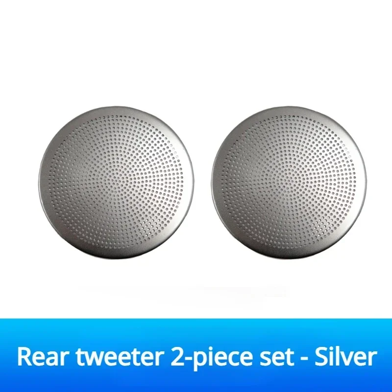 Silver Back door