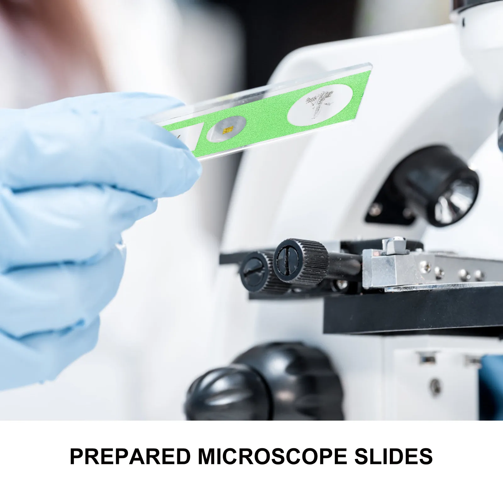 

Набор из 36 готовых биологических микропрепаратов: прозрачные образцы по энтомологии, ботанике, морфологии млекопитающих для детей, студентов, домашнего обучения и школьных программ