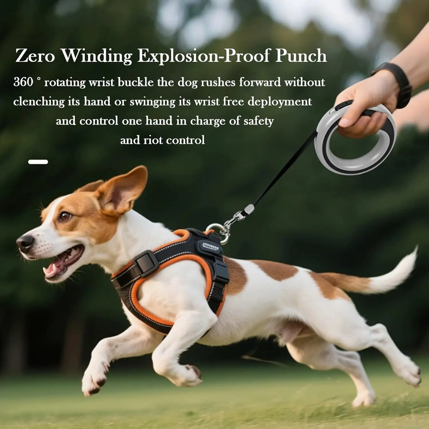 Thumbnail 4 - #33 Latest Dog Leads Offers