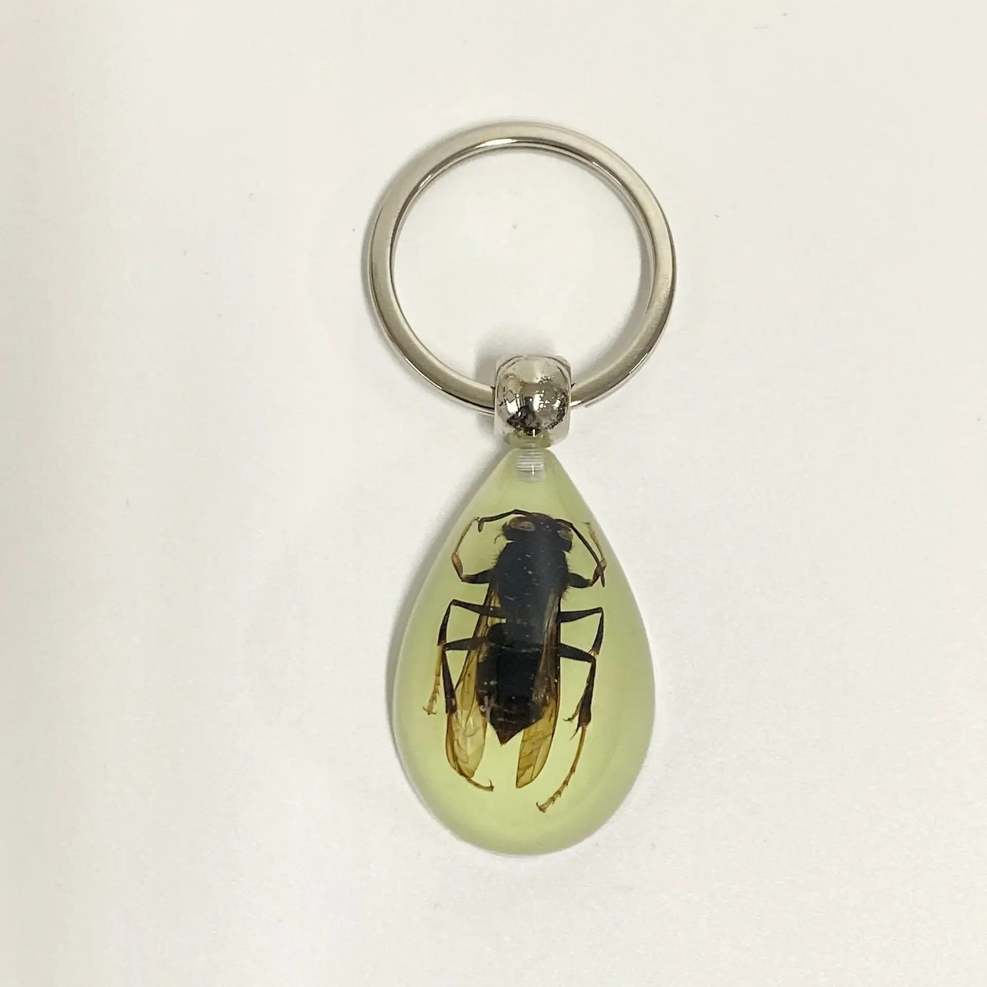 6 stuks insect specimen sleutelhanger, kunstmatige epoxyhars auto hanger, kantoorornament, insect amber hanger woondecoratie - afbeelding 1