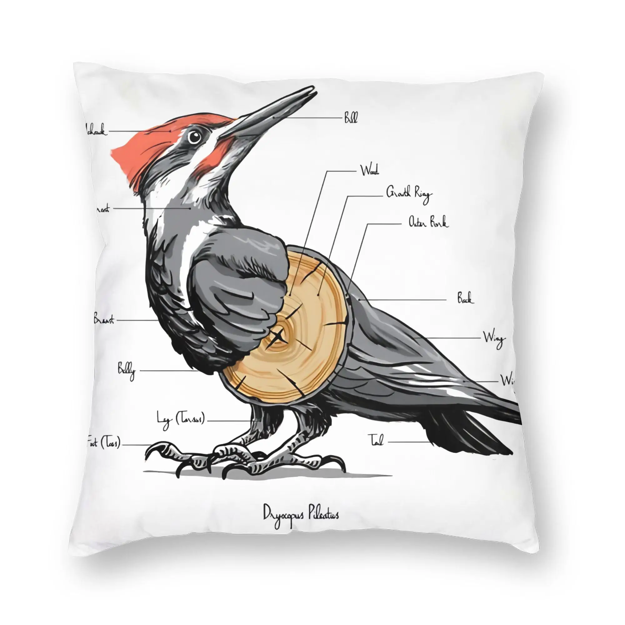 Chris Brown And Usher The Rb Tour Pillow Case  Raymond And Brown Design Pillow For Sofa Bedroom Home Decor Novelty Pillowcases
