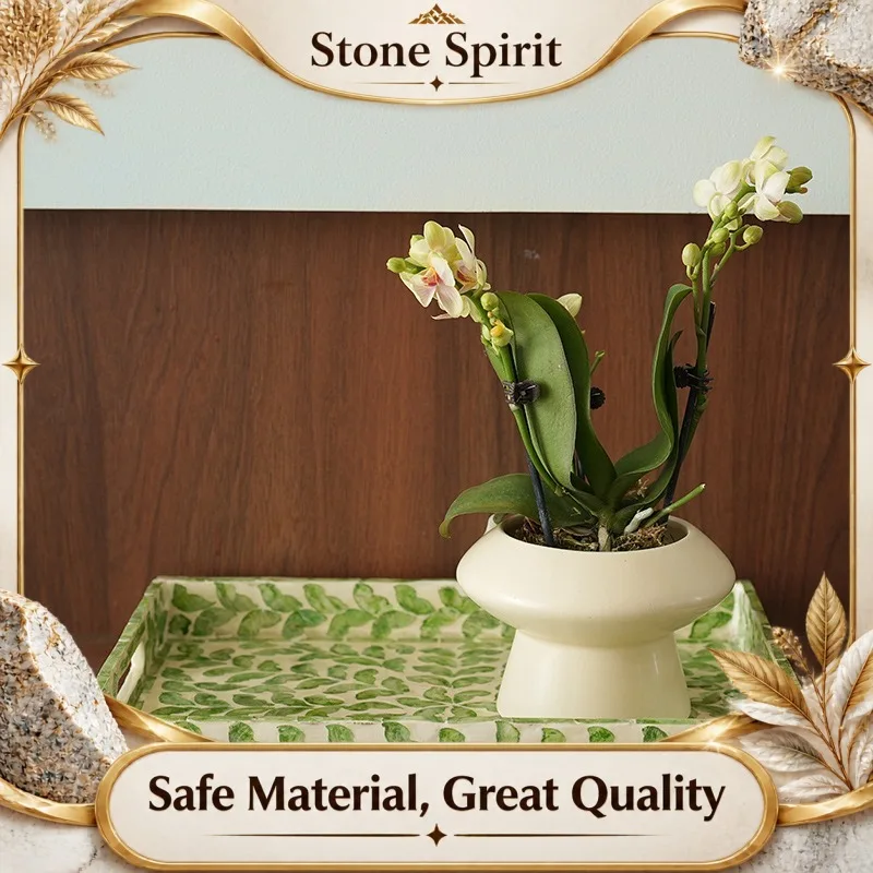 AhunderJiaz Nordic Luxury Natural Shell Tray Living Room Coffee Table Desktop Decoration Snack storage basket Home Decor