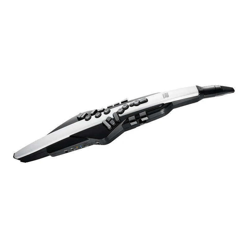 Electric blowpipe Electronic clarinet instrument Electric saxophone Flute for beginners