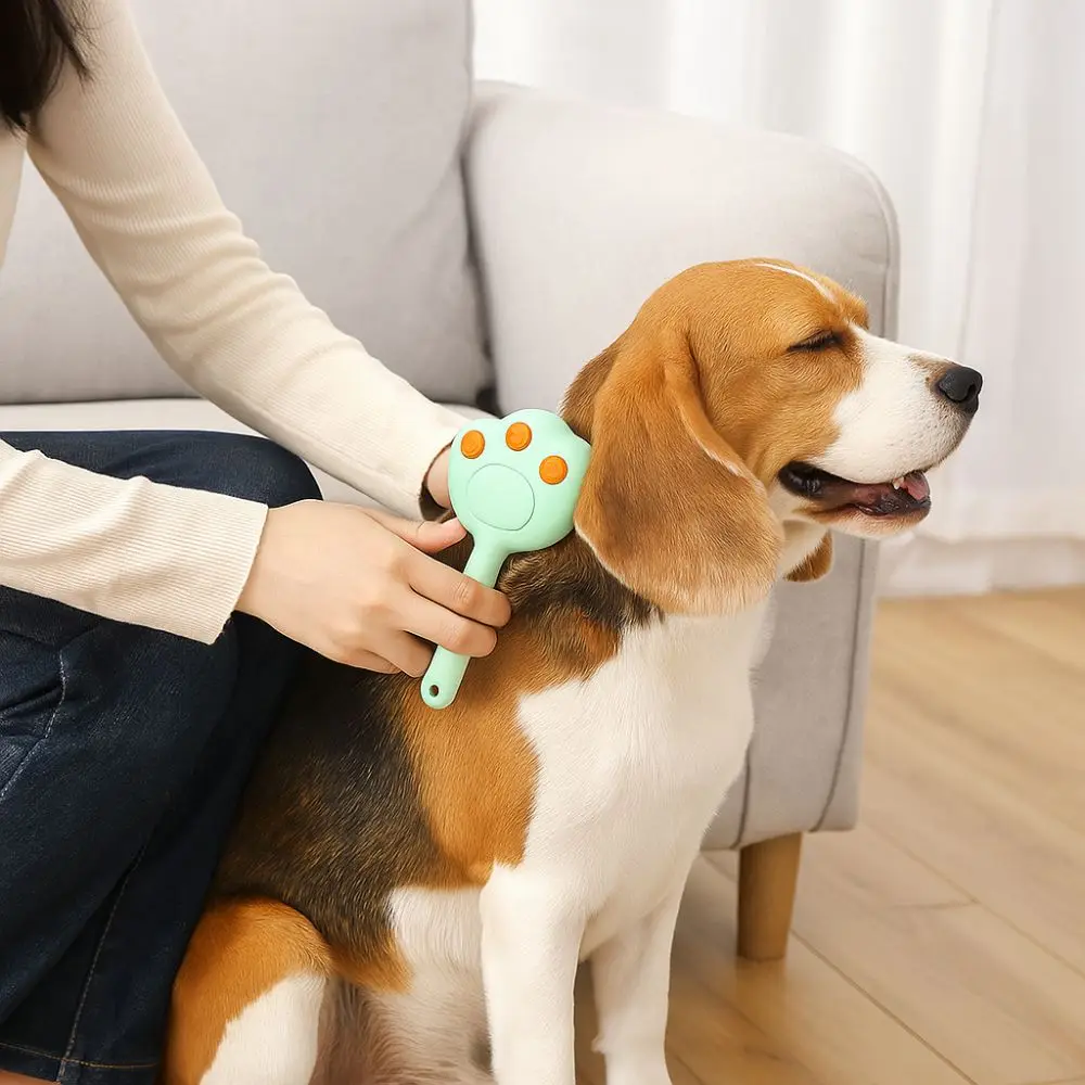 

Electric Cat Steam Brush Rechargeable Anti Flying Hair Steamy Cat Brush Soft with Tank Pet Grooming Comb