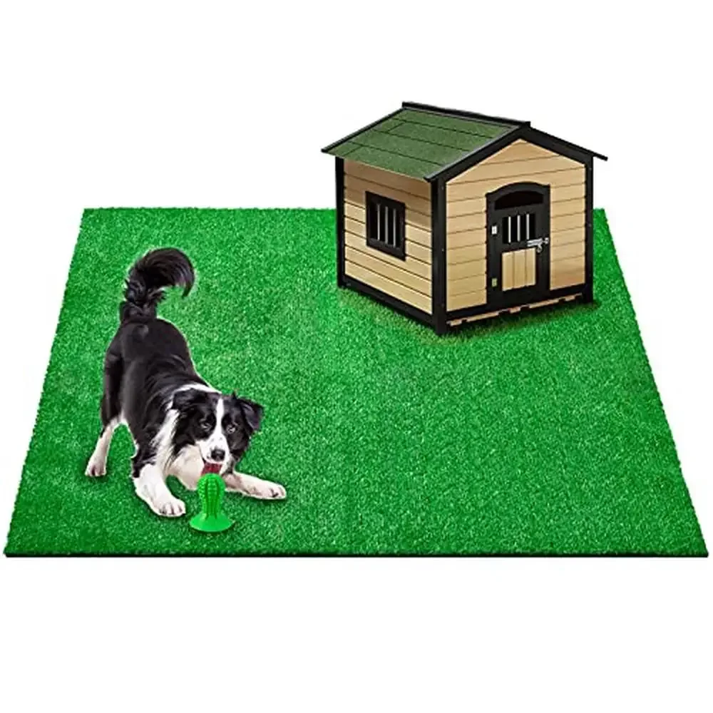

Large Artificial Grass Mat Synthetic Turf 6.56FTx6.56FT Training Pad Dogs Eco-Friendly Realistic Appearance & Easy to Clean
