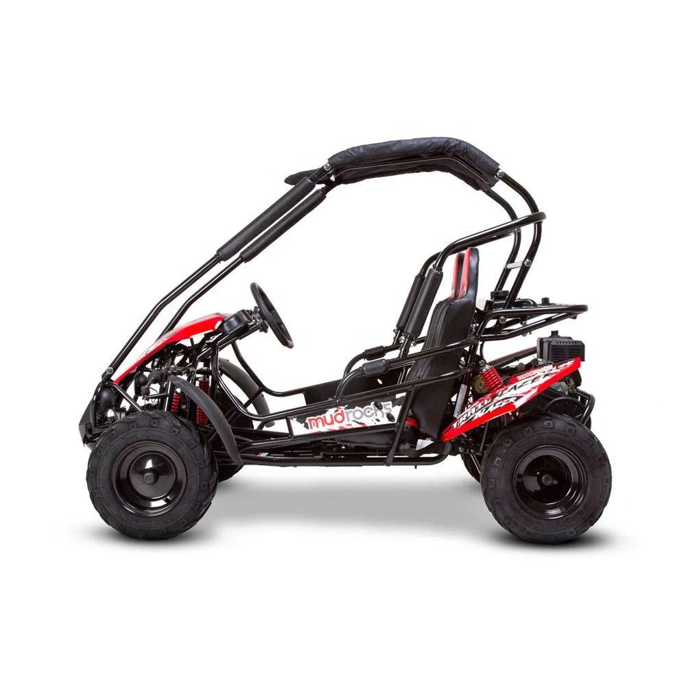 Tao Motor 200cc Motor 125cc Automatic Hyper Go H14bm 1/14 Brushless Rc Cars for Adults F Mini Car 150 Cc 36V Buggy 150cc 10inch view 3