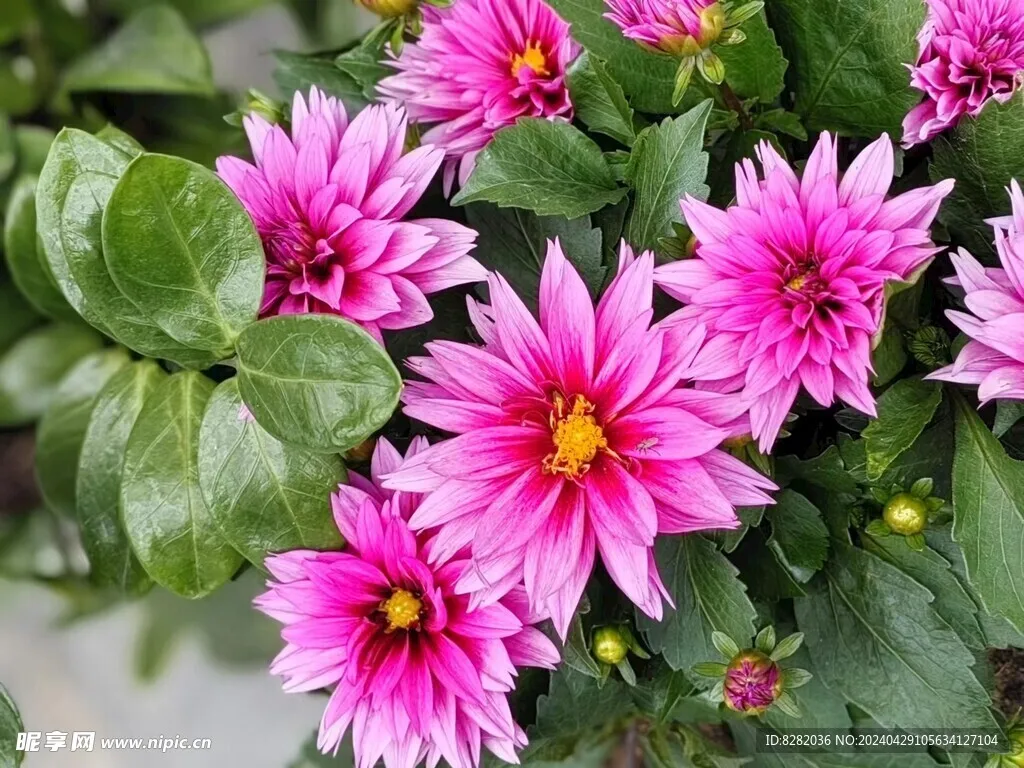 

4PCS 40mm 0.7 Inch Metal Beadlock Wheels and Tires Set For 1/30 RC Crawler Car SCX30 Ascent-32 Upgrade Parts Accessories