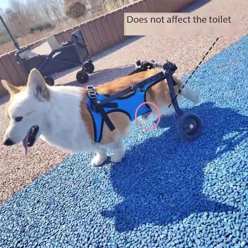 

Adjustable 2-Wheel Dog for Paralyzed Small Dogs Hind Leg Support