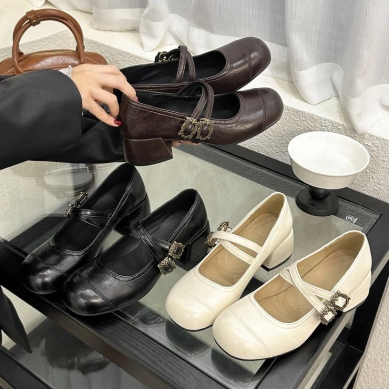 Vintage Fashion Women Dresses - Vintage Thick Heel Women Mary Jane