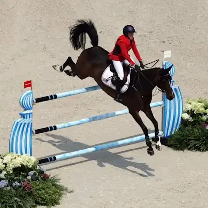 

Custom Competition Standard Portable Equestrian Show Obstacles High Quality Horse Jumping PVC Poles Aluminum Stable Jumps