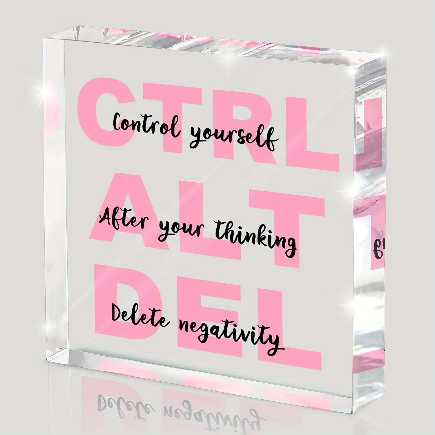 Employee Appreciation Gifts, Inspirational Gifts for Women, Team Gifts for Employees, Pink Office Decor for Women