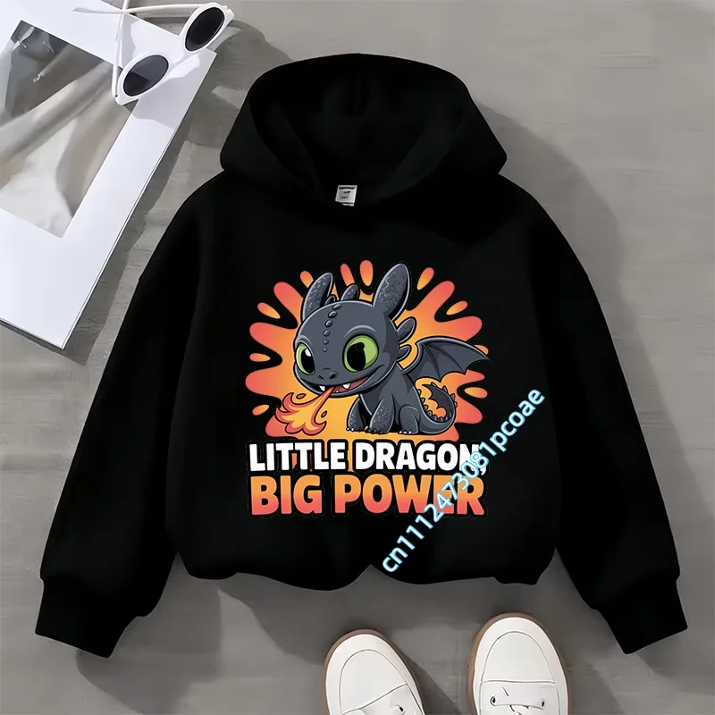 Dragon Tamer Kids Hoodie - Boys' Sport Shirt - Girls' Casual Top - Autumn/Winter Long Sleeve Toothless Cartoon Print