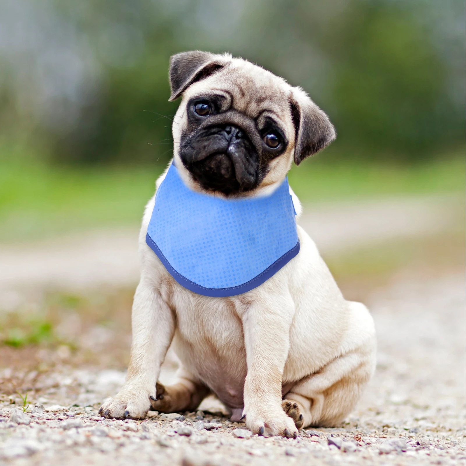 

Neckerchief Cooling Pet Size L Premium Material Adjustable Fit for Pets Stylish Outdoor Party Wear Collar