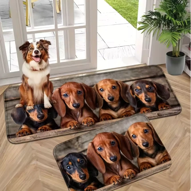 VIKAMA 1/2pcs Adorable Pet Door Mat Anti-Slip & Noise-Reducing Entryway Doormat Kitchen & Laundry Room Rug Cute Home Decor