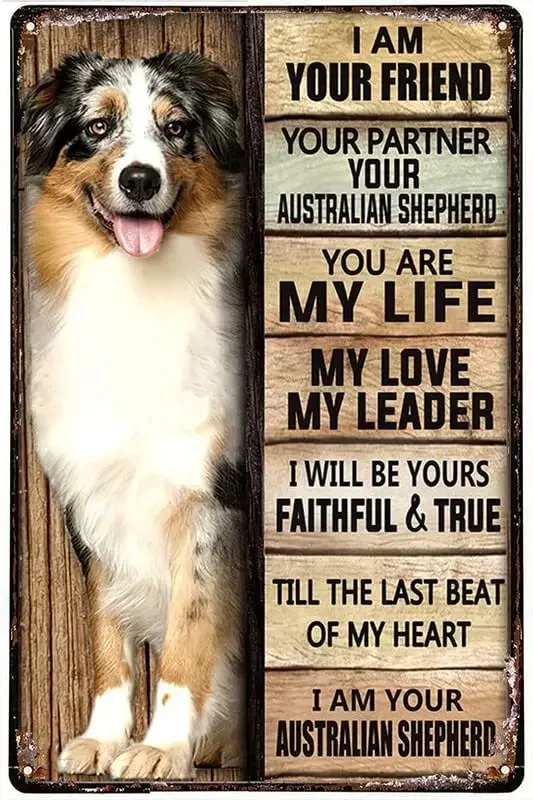 Australian Shepherd Dog I Am Your Friend Dog Metal Tin Sign Wall Art Gift For Dog Lovers Home Decor