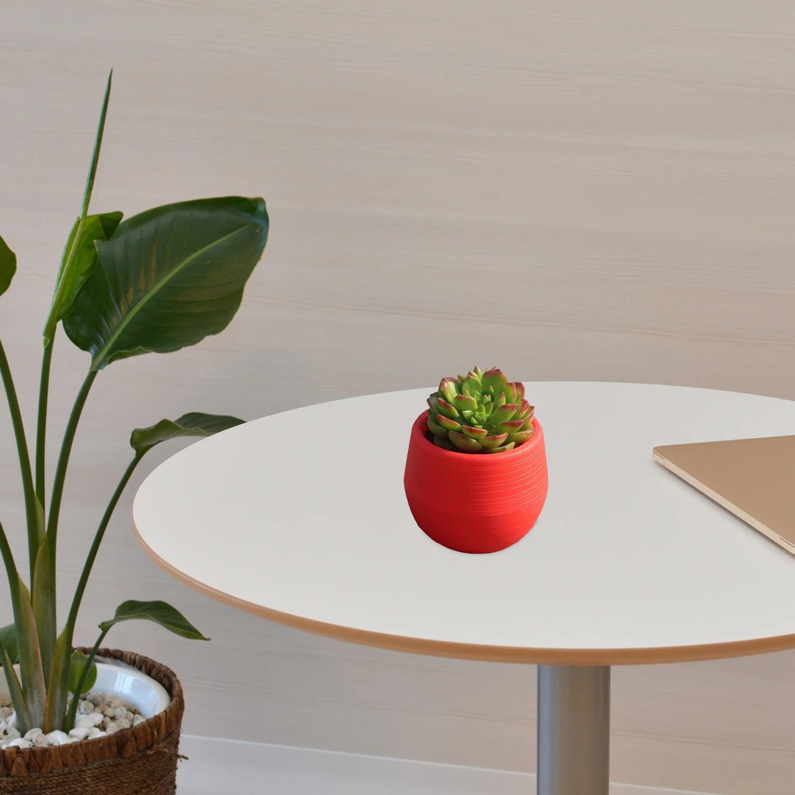 

Mini Round Resin Flower Pot Wine Red Succulent Plant Pot Suitable for Home Office Decor Small Cactus Succulent Flower Pots
