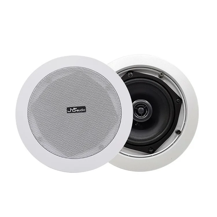 Altavoz de techo HiFi con WIFI, Subwoofer con sonido estéreo PA de 30W, compatible con Bluetooth, amplificador de Clase D incorporado para el hogar