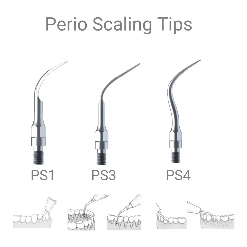 Le punte per scaler dentale in acciaio inossidabile VV si adattano ai strumenti metallici per la pulizia e lo sbiancamento dei denti con manico di marca KAVO