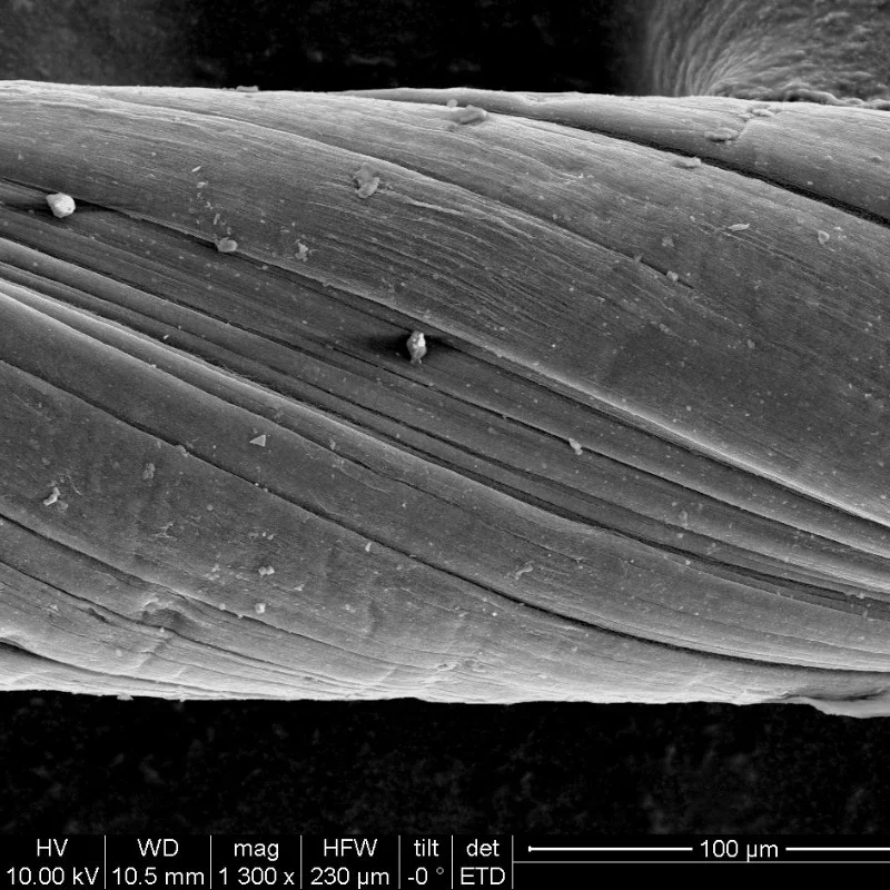 1M Carbon Nanotube Fiber Wire/filament with High Conductivity, Thermal Conductivity, and Strength