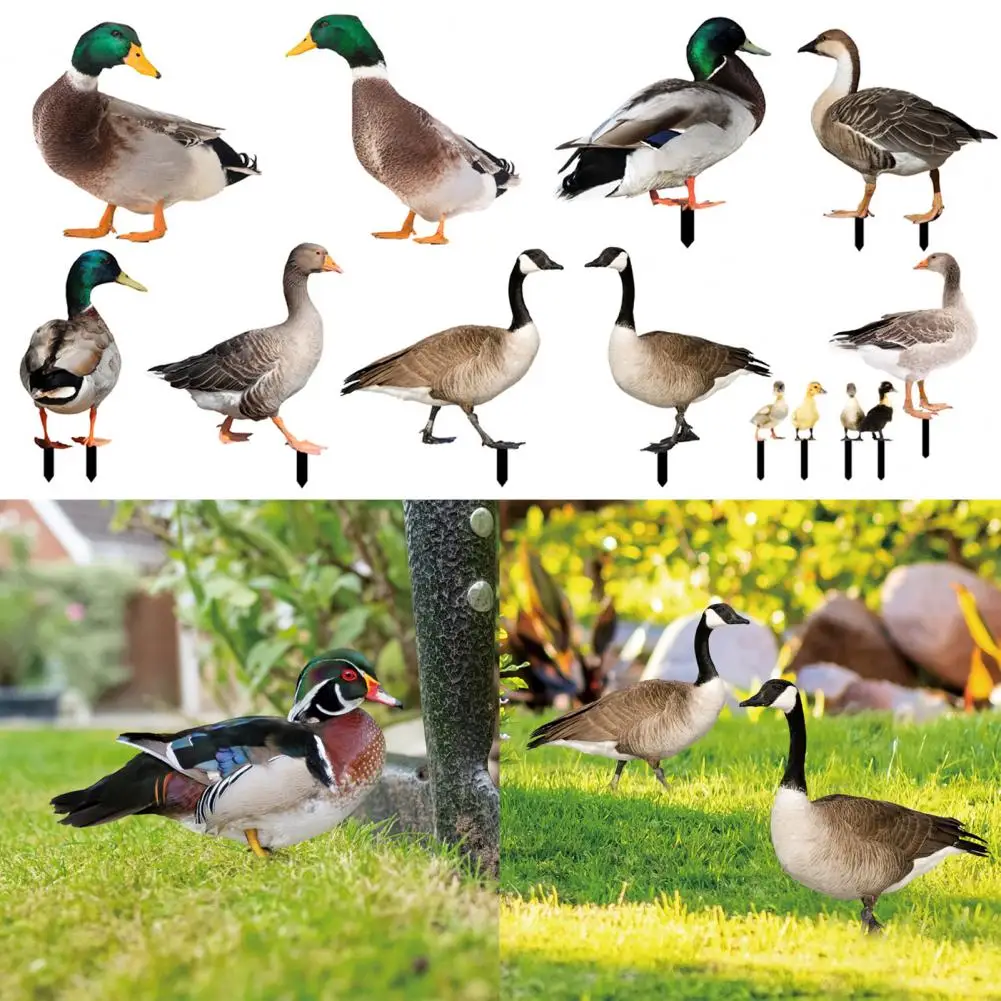 Great Outdoor Yard Acrylic Duck Ornament Shock-proof Duck Decor Duck Decor Garden Statue Chicken for Garden