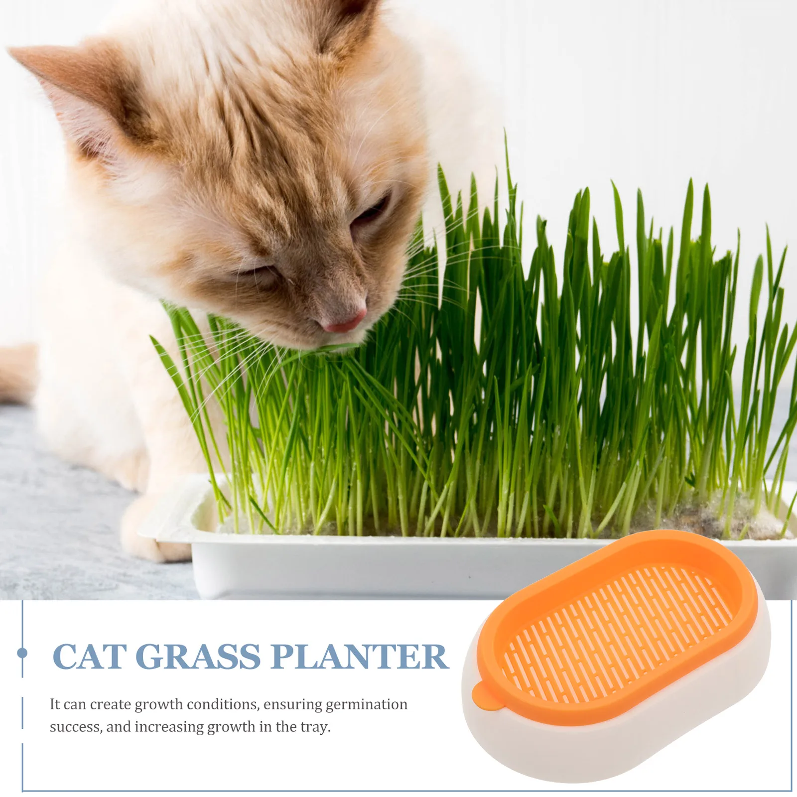 

Pink Hydroponic Planting Box Durable Grass Planter Pot for Indoor Cats Soilless Nursery Tray Pet Cat Plant Box Household Cat
