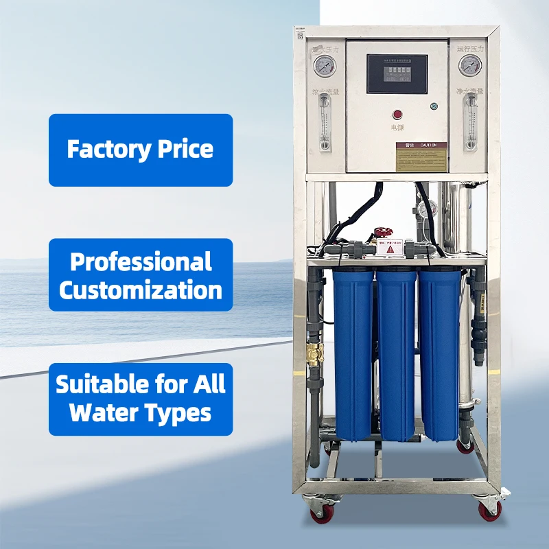 Commercial Outdoor Water Purifier 250LPH 500LPH Industrial Water Treatment Machinery Reverse Osmosis System Ro Filter Price
