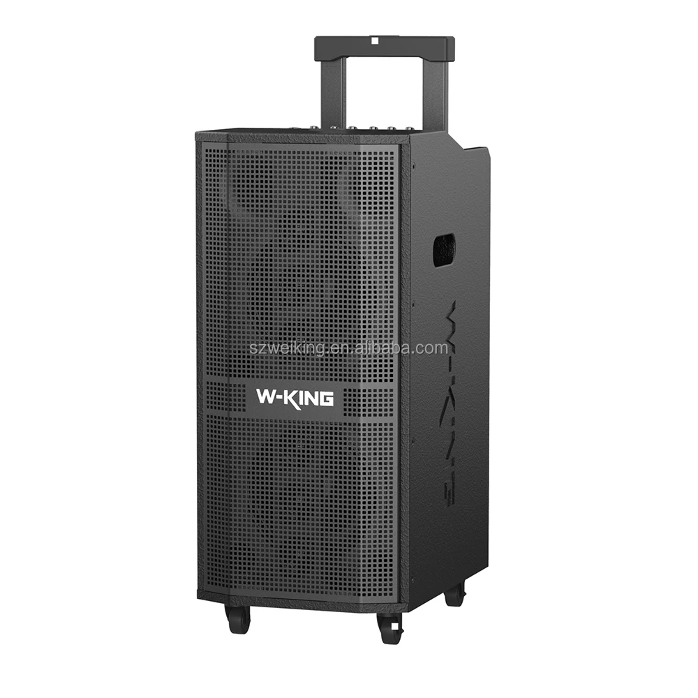 

Активная линейная акустическая система W-KING K20PRO 360W с мощным аккумулятором, беспроводным Bluetooth и деревянным корпусом на колесиках для сцены