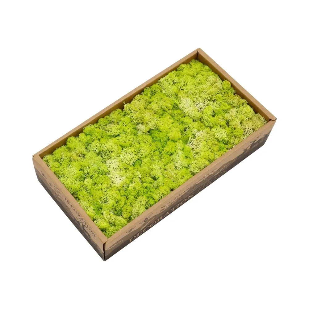 Preserved Reindeer Moss Kit 500g 6 Green Variants for Indoor Wall Art DIY Crafts Terrarium Building and Nature-Inspired Decor