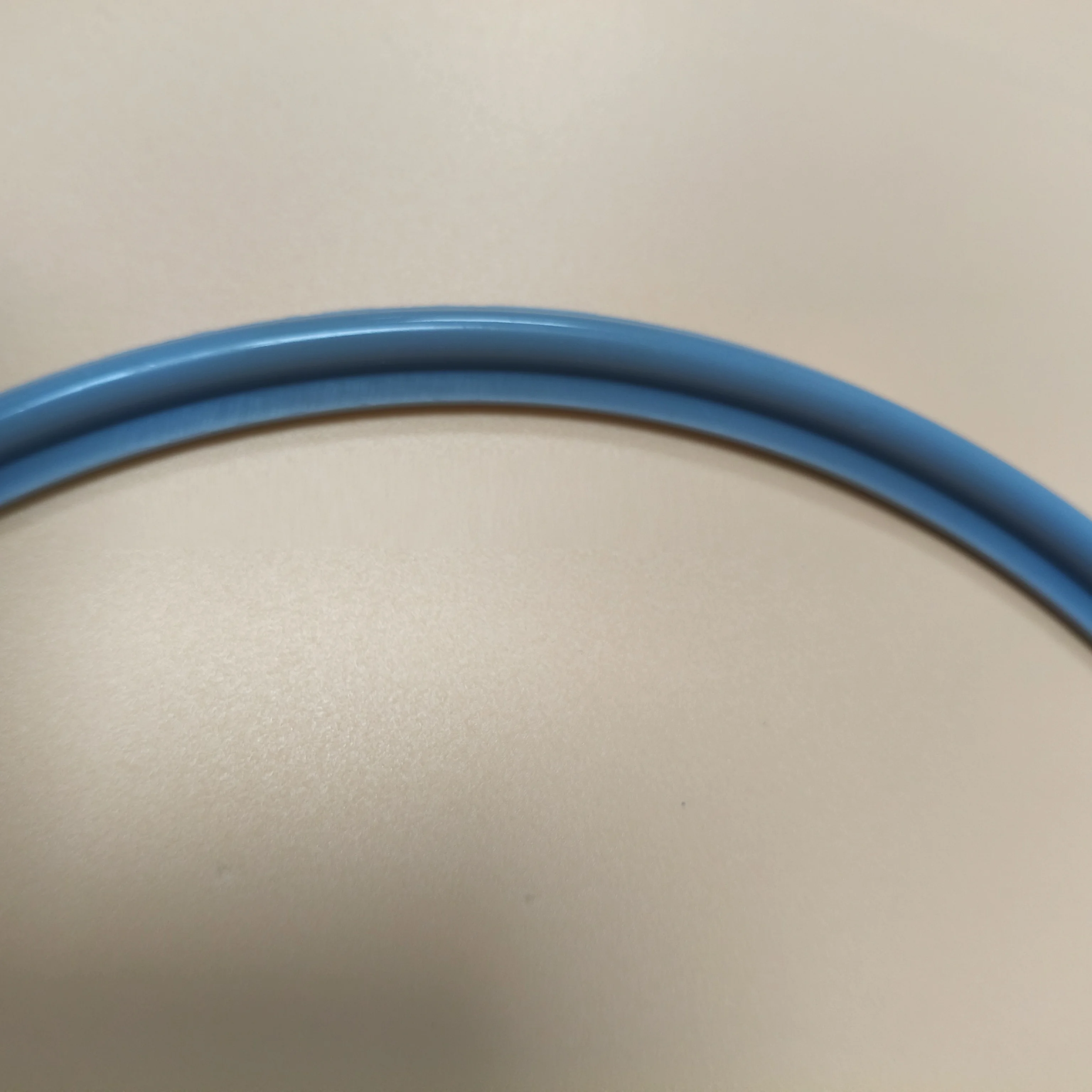 gasket  For NSK Domina Plus-classe DXP DomiAutoclave door gasket sterlization replacement seal o- ring Chamber accessories and t