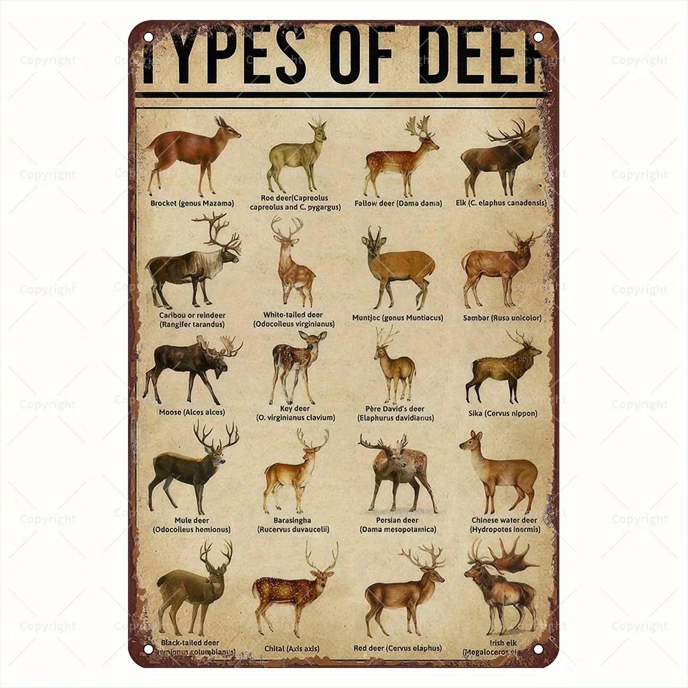 Letrero educativo de pared con especies de ciervos de metal vintage, decoración de caja de hierro rústica con 12 tipos de ciervos etiquetados, sin necesidad de electricidad,