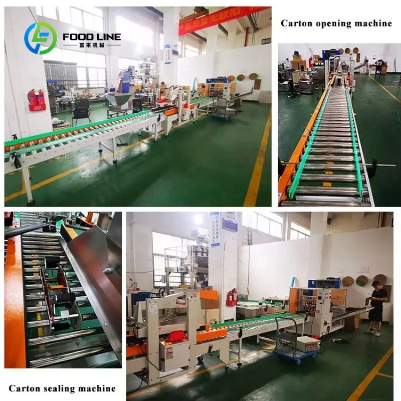 Picture 6: Customized Carton Case Opening Machine ,Box Erector, Cardboard Forming and Folding Machine