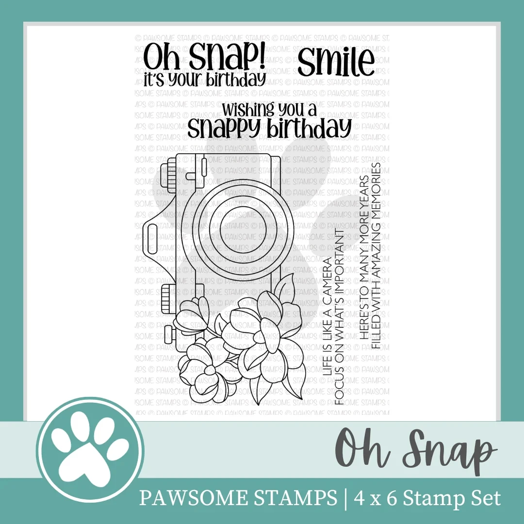 Oh Snap Camera Clear Stamps Set Scrapbooking for Paper Making Metal Cutting Dies Frames Card Craft