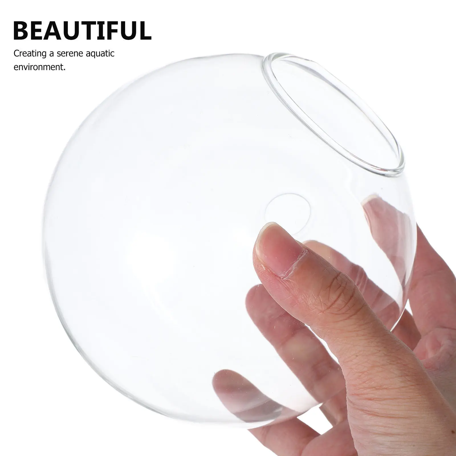 Clear Glass Wall Hanging Hydroponic Vase for Plant Propagation Lucky Bamboo Aquatic Plants Desktop Wall Mounted Terrarium Fish