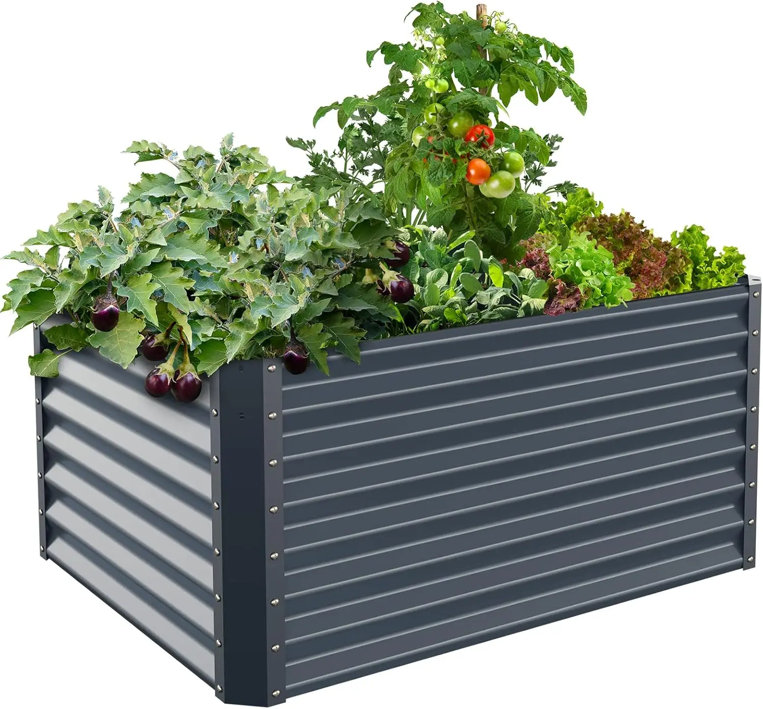 

Galvanized Raised Garden Bed Box Planter for Outdoor Plants - Extra Tall 24" Metal Garden Boxes for Vegetables - 48"X36"X24", Mi